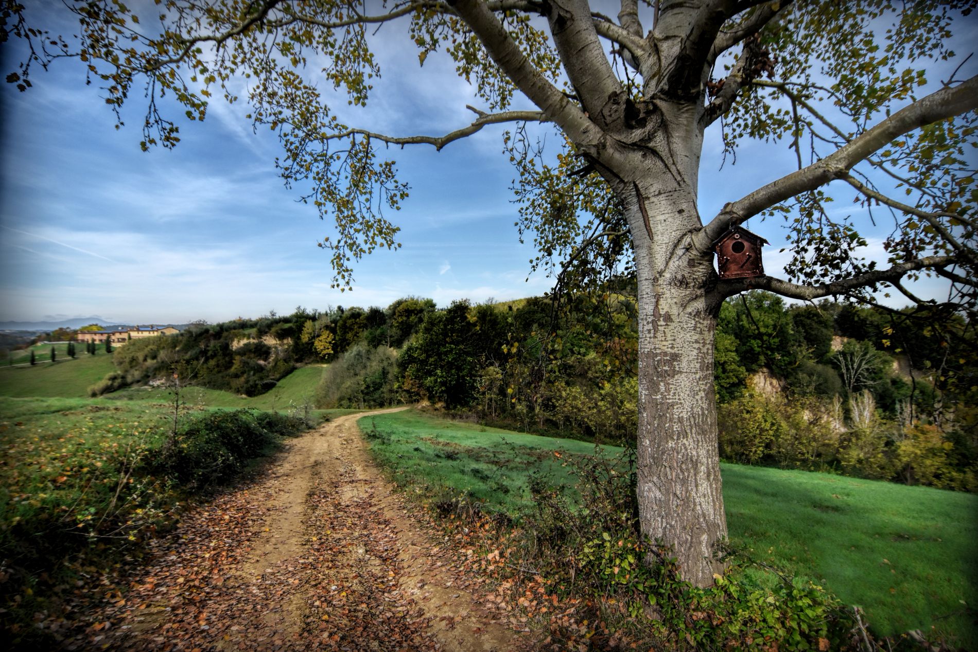 via-francigena-the-way-gambassi-terme