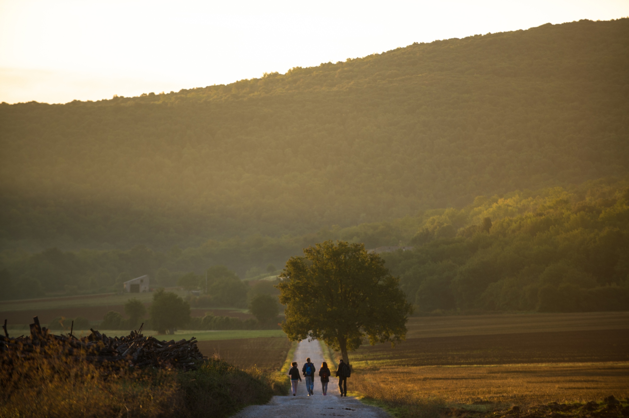 Via Francigena Toscana: tappa Abbadia a isola - Monteriggioni