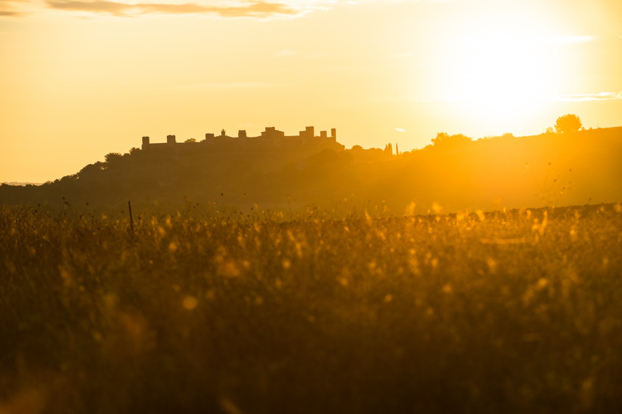 Puesta de sol en un campo de Toscana, con el pueblo fortificado de Monteriggioni que se vislumbra en la distancia