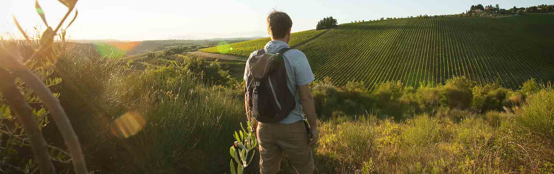 The Via Romea Sanese · Visit Tuscany