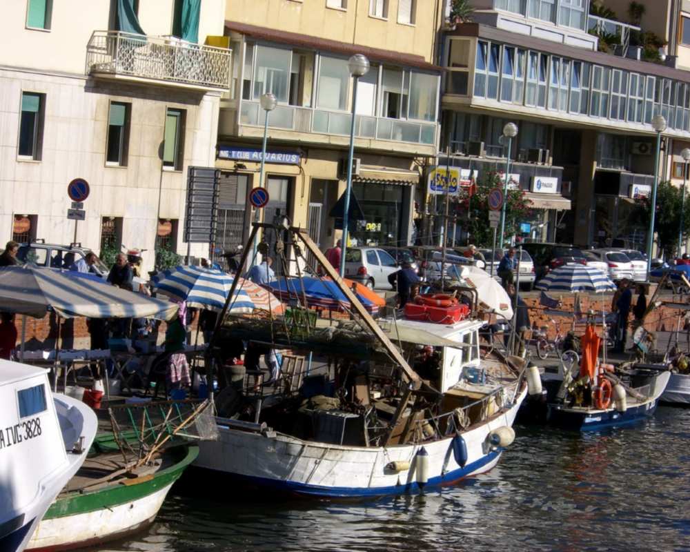 Boats in Viareggio