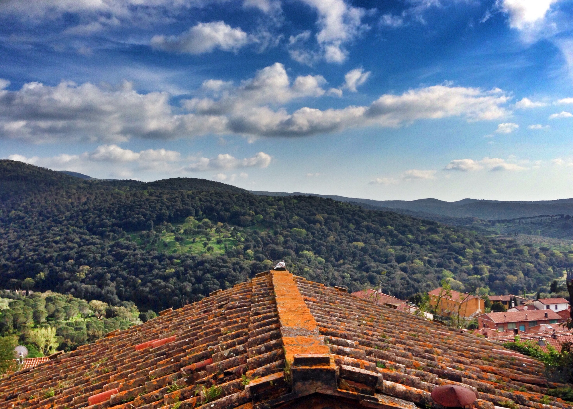 View from Castagneto