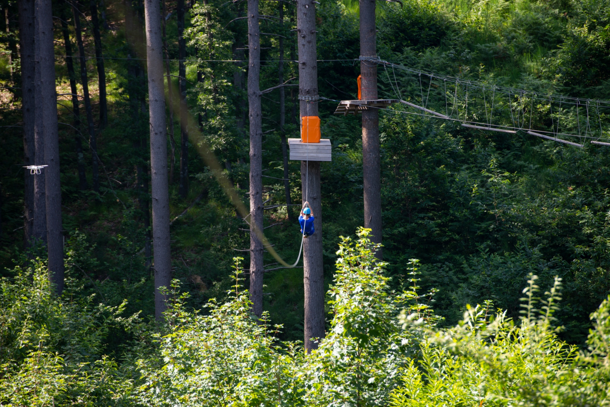 Parco Avventura Sospeso nel Verde