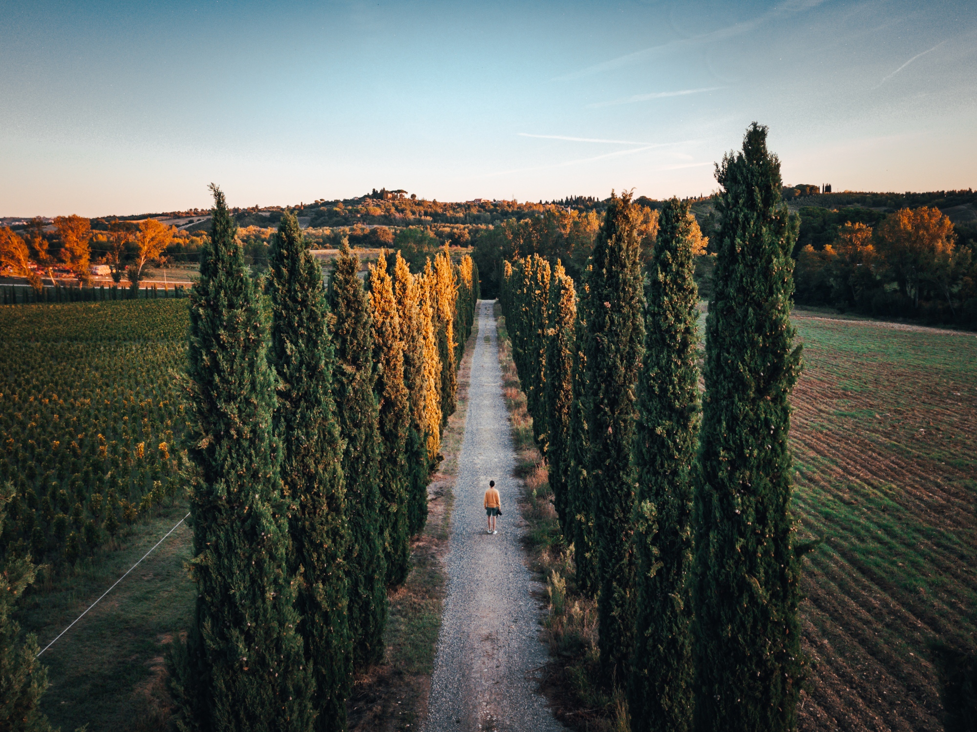 A Tuscany's postcard