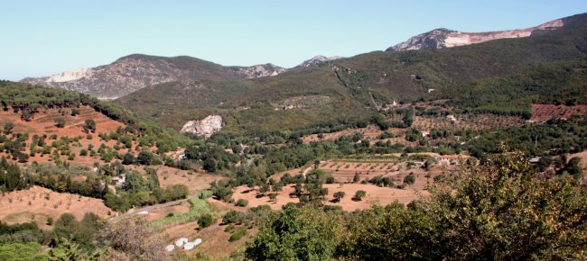 View of the metalliferous hills