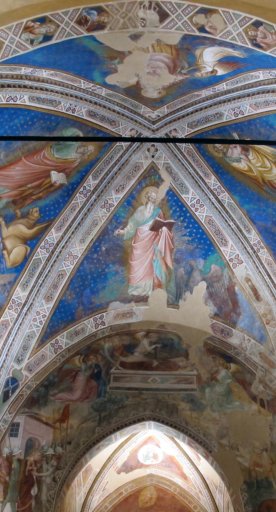 A glimpse of the interior of the Santa Caterina delle Ruote Oratory