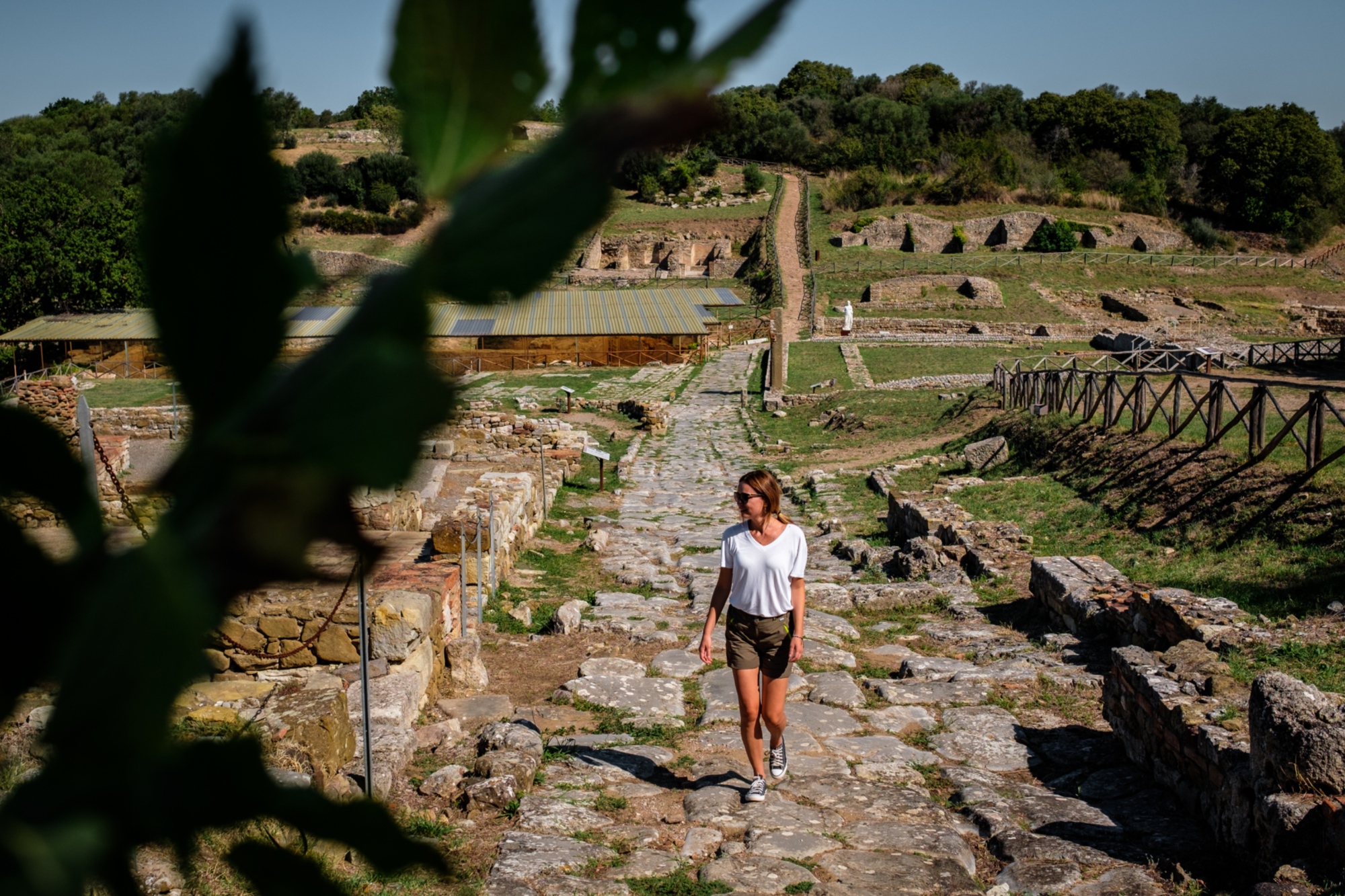 A walk at the archaeological area of Roselle