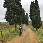 In bici nel Chianti